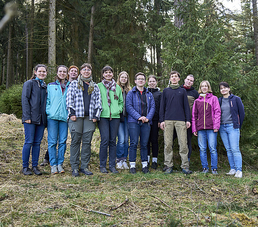 Die Studierenden stehen auf dem Waldboden in einer Reihe und lächeln in die Kamera.